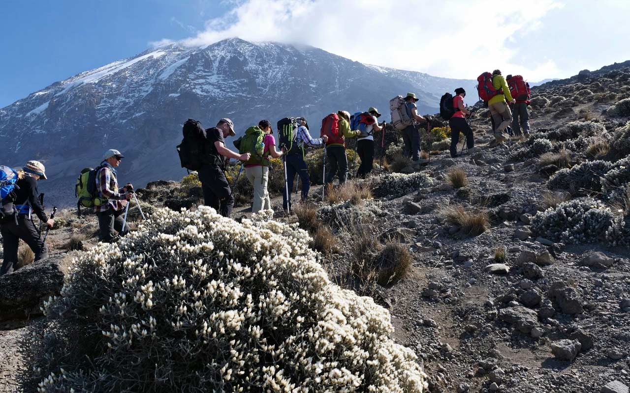 6 DAY UMBWE ROUTE KILIMANJARO TREK