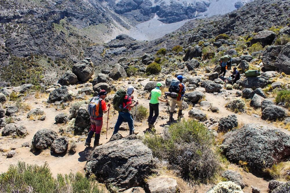 7 DAY UMBWE ROUTE KILIMANJARO TREK