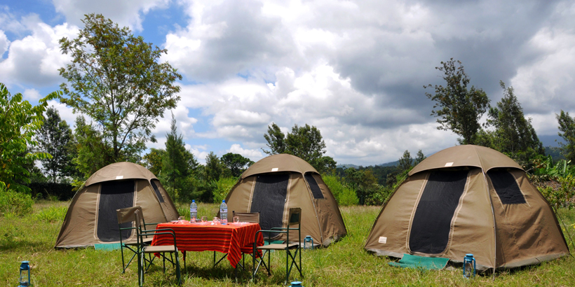  Camping Safaris 