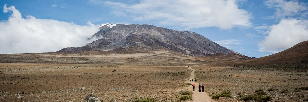 Alpine Desert Zone 