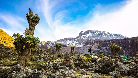 Mt.Kilimanjararo Ecological Zones
