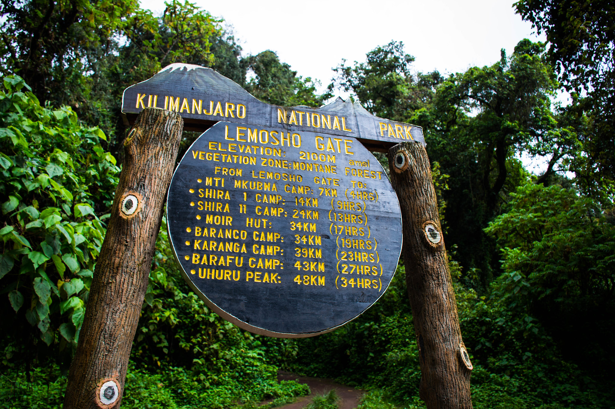  LEMOSHO ROUTE KILIMANJARO TREKKING 