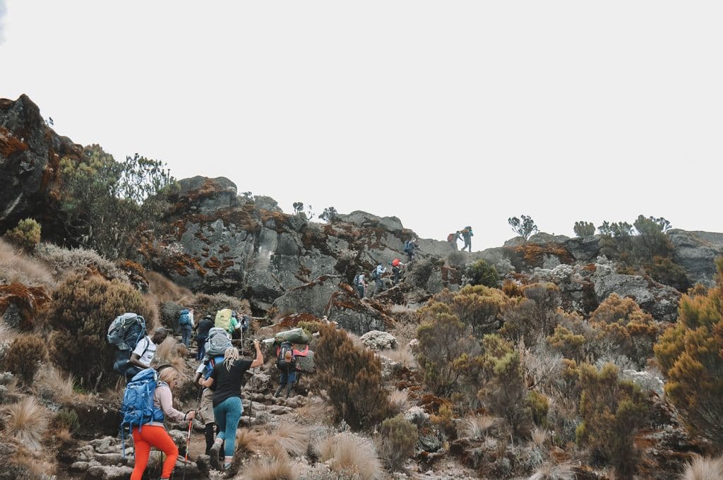 LONDOROSI ROUTE KILIMANJARO TREK