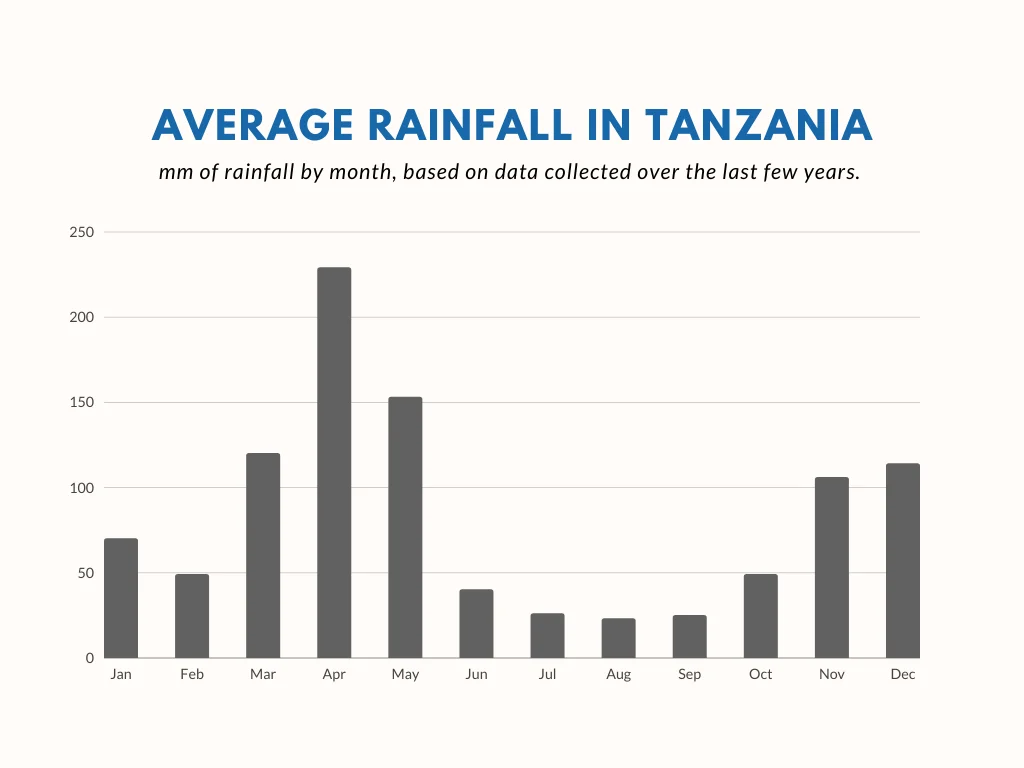 Best Time for Kilimanjaro Trekking