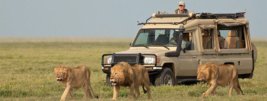 tanzania travel
