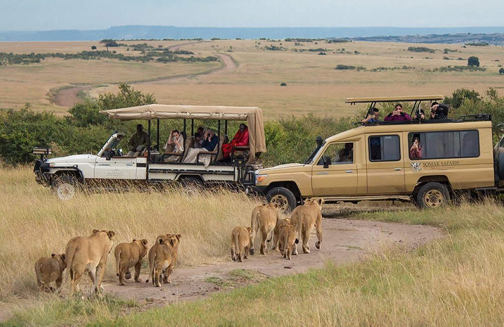 6 DAY TANZANIA WILDLIFE SAFARI